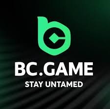 Essential BC.Game Tips for Maximizing Your Crypto Gaming Experience